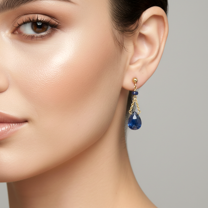 14K Yellow Gold Natural Blue Sapphire Drop Earrings, Solid Gold Sapphire Dangle Earrings, Gift for Girlfriend