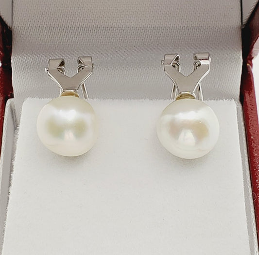 Sterling Silver Pearl 10x10mm Earrings