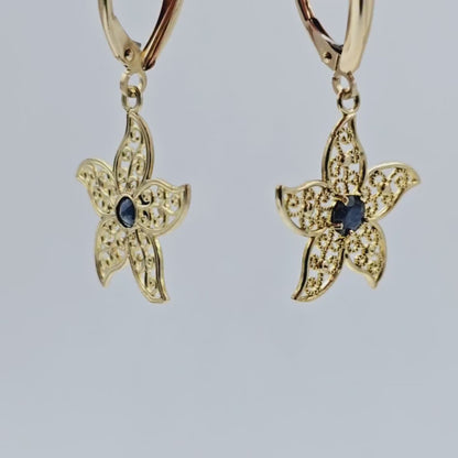 10K Gold Genuine Gemstone Earrings , Leverback Earrings for Women, Elegant Blue Stone Earrings, Gold Earrings for her, Elegant Earrings